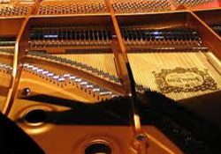 東京 埼玉 神奈川 東京近郊の「デザイナーズマンション」物件