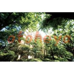 kanagawa物件 4LDK 18.5万円の写真２