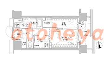 防音室のある楽器可 賃貸物件 1 LDK 23万円の図面１