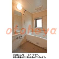 グランドピアノ可の賃貸物件 1LDK 18万円の写真５