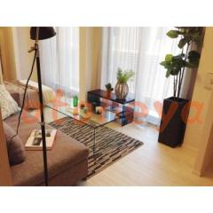 楽器可の賃貸物件 1DK 11.9万円の写真６