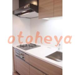 tokyo23物件 1K 12.6万円の写真４