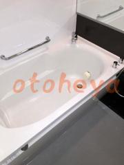 グランドピアノ可の賃貸物件 1LDK 25.2万円の写真５
