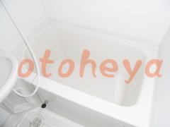 楽器可の賃貸物件 1LDK 5.2万円の写真６