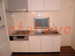 グランドピアノ可の賃貸物件 1LDK 10.9万円の写真４