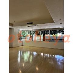 グランドピアノ可の賃貸物件 1LDK 94.5万円の写真５