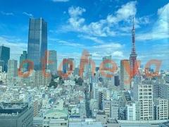 防音室のある楽器可 賃貸物件 3LDK 88万円の写真７