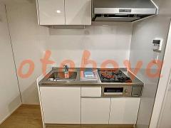 グランドピアノ可の賃貸物件 1K 9.9万円の写真４