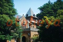 物件 1DK 11.9万円の写真５