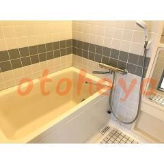 楽器可の賃貸物件 1LDK 12万円の写真５