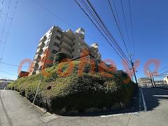 楽器可の賃貸物件 3LDK 16.5万円の写真３