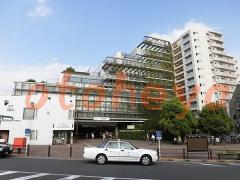 楽器可の賃貸物件 1LDK 16万円の写真４
