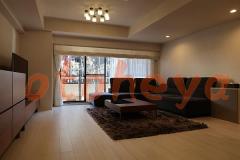 tokyo23物件 3LDK 55万円の写真４