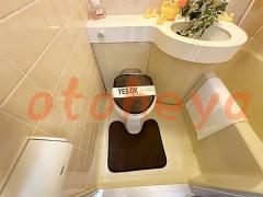 防音室のある楽器可 賃貸物件 1K 4.7万円の写真８
