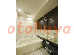 楽器可の賃貸物件 3LDK 42.5万円の写真８