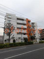 楽器可の賃貸物件 1LDK 13.2万円の写真３